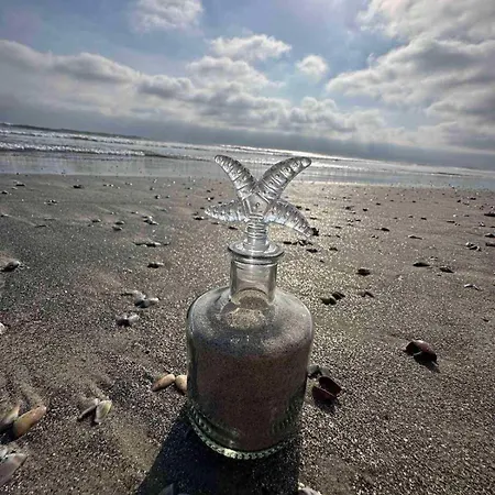 Apartment California Ni