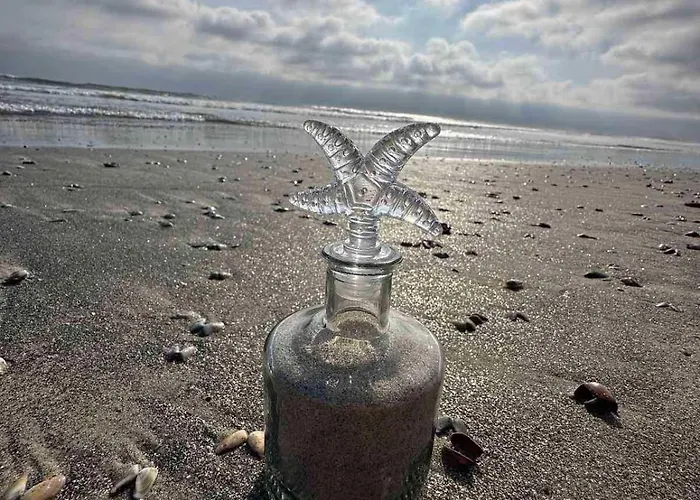 شقة California Ni